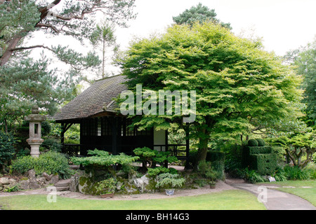 Die japanischen Gärten an das irische Nationalgestüt in Tully, Kildare, Irland. Stockfoto