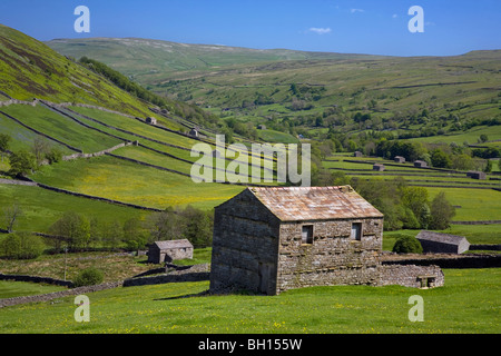 Scheune in der Nähe von Thwailte, Swaledale, Yorkshire Dales, England, UK Stockfoto