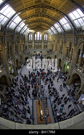 Balkon mit Blick auf die Massen in der zentralen Halle auf das Natural History Museum, Cromwell Road, London, England. Stockfoto