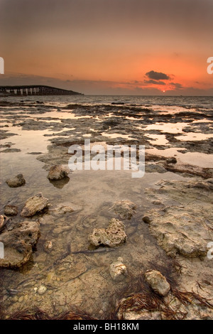 Sonnenaufgang über dem Tidepools auf fossilen Korallenriff Kalkstein, Bahia Honda, Florida Keys, Florida. Stockfoto