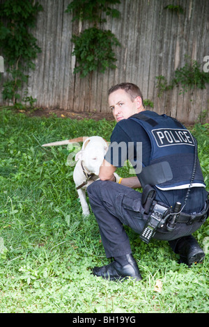 Polizist mit Pitbull gefunden angekettet im Hinterhof. Der Hund wurde in ein Tierheim für ärztliche Behandlung gebracht. Stockfoto