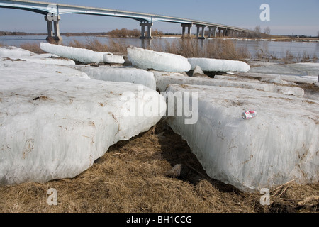 Große Klumpen des Eises am Ufer des Roten Flusses, Manitoba, Kanada Stockfoto