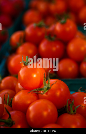Rote Cherry-Tomaten Stockfoto