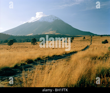 Blick auf den aktiven Vulkan Popocatepetl auf den Horizont, Izta Popo Zoquiapan Nationalpark, Mexiko Provinz, Mexiko, Amerika Stockfoto