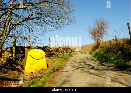 Gelbes Korn bin auf einspurigen Straße in Snowdonia. Stockfoto