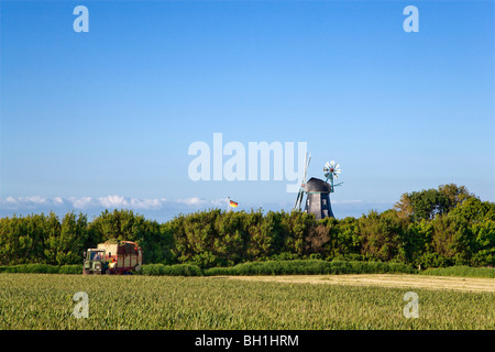 Windmühle in Borgsum, Foehr Insel, Nordfriesischen Inseln, Schleswig-Holstein, Deutschland Stockfoto