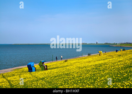 Strandkörbe am Deich, die Insel Pellworm, Nordfriesischen Inseln, Schleswig-Holstein, Deutschland Stockfoto