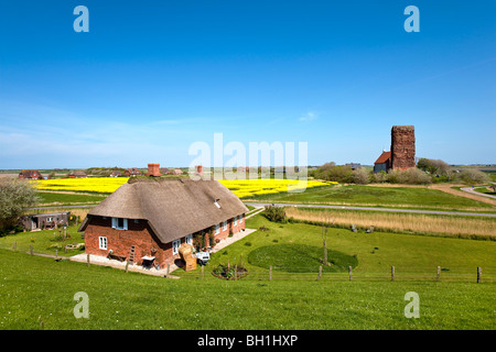 St. Salvator Kirche und reetgedeckten Haus, die Insel Pellworm, Nordfriesischen Inseln, Schleswig-Holstein, Deutschland Stockfoto