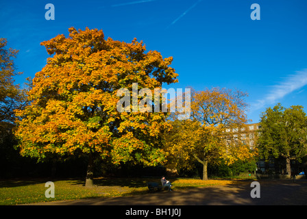 Der breite Weg bei Kensington Gärten West London England UK Stockfoto