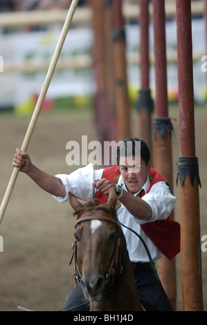 Turnier, Slalom, Oswald von Wolkenstein Ritt, Event 2005, Proesels Schloss, Voels bin Schlern, Südtirol, Italien Stockfoto