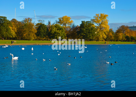 Runden Teich Kensington Gärten West London England UK Stockfoto