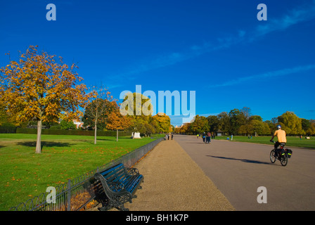 Die breiten Fuß Kensington Gärten West London England UK Stockfoto