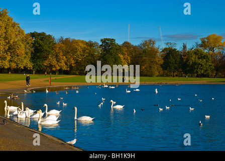 Runden Teich Kensington Gärten West London England UK Stockfoto