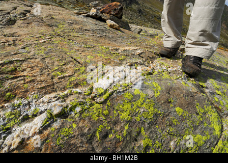 Person steht auf einer Felsplatte mit Quarz Deich, Stubai, Stubaier Alpen, Tirol, Österreich Stockfoto