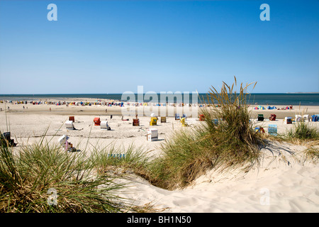 Liegestühle am Strand in der Nähe von Norddorf, Amrum, Insel, Nordfriesischen Inseln, Schleswig-Holstein, Deutschland Stockfoto