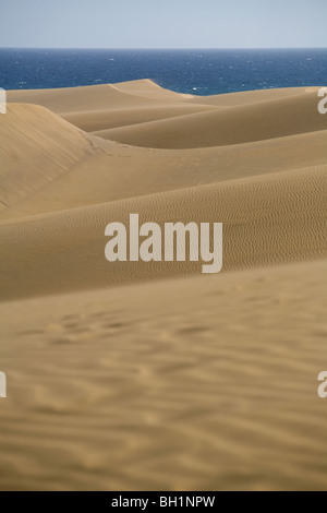 Europa, Spanien, Kanarische Inseln, Gran Canaria, Playa del Ingles, Dünen von Maspalomas, Stockfoto