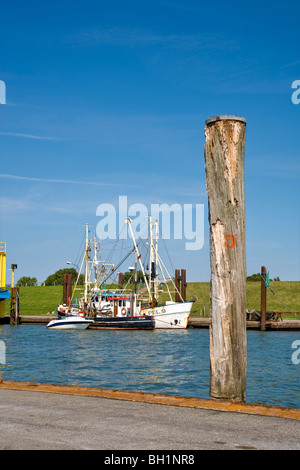 Fischerboot im Hafen, die Insel Pellworm, Nordfriesischen Inseln, Schleswig-Holstein, Deutschland Stockfoto