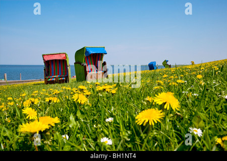 Strandkörbe und Blumen auf einem Damm, die Insel Pellworm, Nordfriesischen Inseln, Schleswig-Holstein, Deutschland Stockfoto