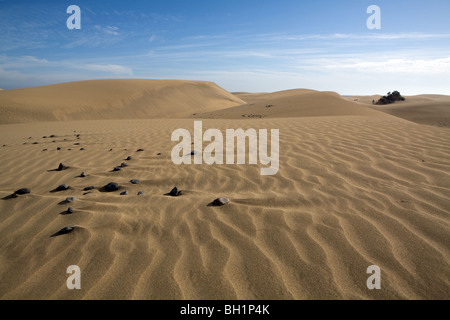 Europa, Spanien, Kanarische Inseln, Gran Canaria, Playa del Inglesdunes von Maspalomas, Stockfoto