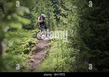 Mountainbiker, die springen auf einem Trail im Wald, Lillehammer, Norwegen Stockfoto