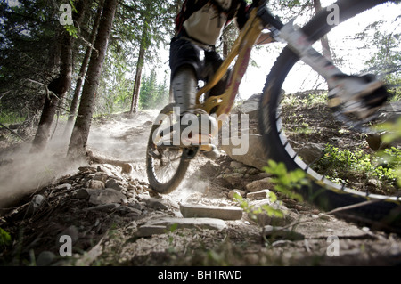 Mountainbiker fahren auf einem Pfad in den Wald, Lillehammer, Norwegen Stockfoto