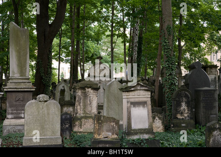 Alter jüdischer Friedhof, Dresden, Sachsen, Deutschland Stockfoto