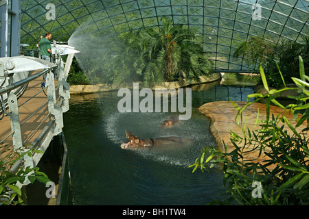 Nilpferd-Haus, überspannt von zwei feinmaschigen Glaskuppeln, Zoo Berlin Stockfoto