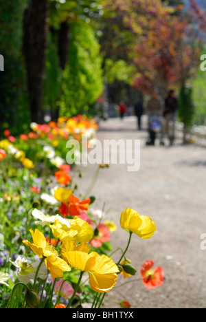 Kurpark von Meran, Vinschgau, Südtirol, Italien Stockfoto