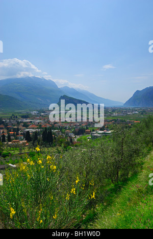 Blick über Dorf von Riva zum See Gardasee (Lago di Garda), Trentino, Italien Stockfoto