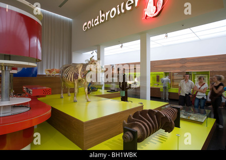 Das Deutsche Hygiene-Museum, DHMD, Zimmer 3 Essen und trinken, Glas Kuh, Dresden, Sachsen, Deutschland, Europa Stockfoto