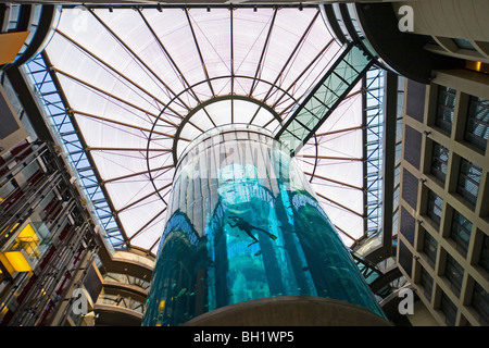 Das 5 Sterne Radisson SAS Hotel verfügt über das weltweit größte zylindrische Aquarium. Eingang zum Aqua Dom, ein Taucher reinigt Tank, Stockfoto