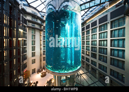 Das 5 Sterne Radisson SAS Hotel verfügt über das weltweit größte zylindrische Aquarium. Eingang zum Aqua Dom, ein Taucher reinigt Tank, Stockfoto