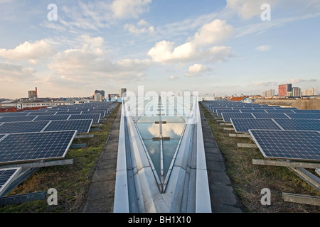 Solar-Panels auf dem Grasdach der Willy-Brandt-Haus-Zentrale der SPD Sozialdemokratische Partei Berlin, Deutschland Stockfoto