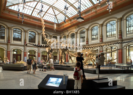 Museum Fuer Naturkunde, Museum für Naturkunde Berlin Stockfoto