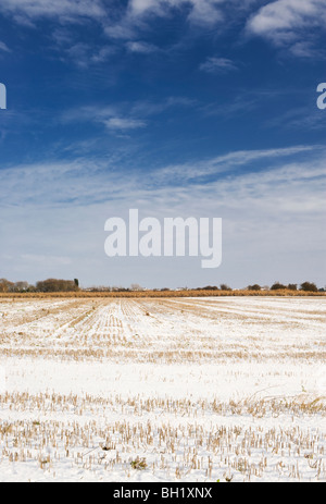 Landwirtschaftliche Flächen am Rande des Fenlands, nahe dem Dorf Auge, Peterborough, Cambridgeshire Stockfoto