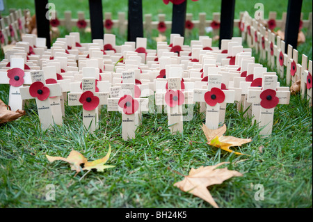 Holzkreuze mit Mohnblumen im Bereich des Gedenkens in der Westminster Abbey, London Stockfoto