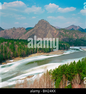 Driften des Eises am Fluss Katun. Altai-Gebirge Russland Stockfoto