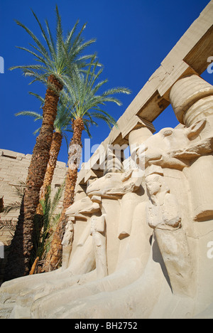 LUXOR, ÄGYPTEN. Eine Ansicht der Widderköpfige Sphingen in dem Bezirk des Amun in Karnak-Tempel. 2009. Stockfoto