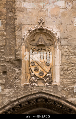 Wappen am Palais des Papes (Papstpalast), Avignon, Frankreich Stockfoto