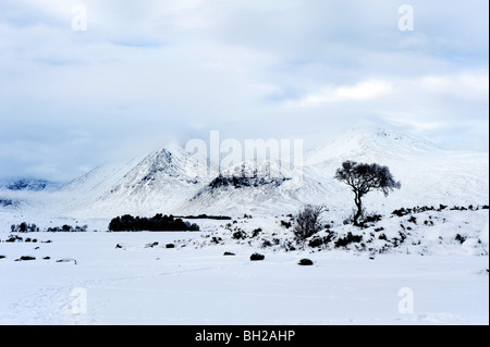 Blick über einen gefrorenen man keine-Achlaise bis zu den Gipfeln des Gebirges die Blackmount im Winter. Stockfoto