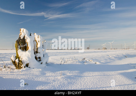 Baumstumpf mit einem Windpark am Horizont, in eine flache Schneelandschaft Stockfoto