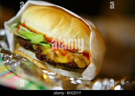 Typische New York Cheese Burger, auch bekannt als Hamburger mit Käse, Pommes frites, Cola und Zwiebel Ringe Stockfoto