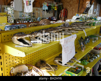 Touristische Souvenirs aus der Luft Boot Reiseveranstalter Speedy Johnson, Florida Everglades Stockfoto