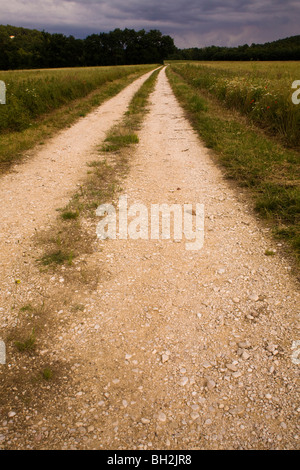 Feldweg, Provence, Frankreich Stockfoto