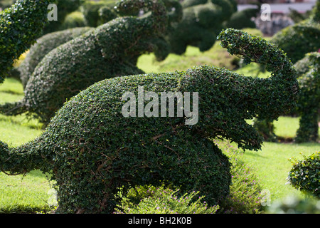 Topairy Tiere in der Nong Nooch Tropical Botanical Garden in Pattaya, Thailand Stockfoto