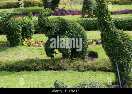 Topairy Tiere in der Nong Nooch Tropical Botanical Garden in Pattaya, Thailand Stockfoto