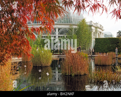 Herbst an der New York Botanical Garden Stockfoto