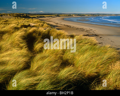 Ein Blick auf Dünen und Strand entlang Druridge Bay in Northumberland Stockfoto