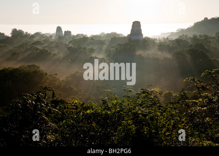 Sunrise und frühen Morgennebel am Tikal Archäologie Standort. Stockfoto