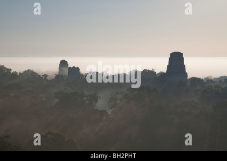 Sunrise und frühen Morgennebel am Tikal Archäologie Standort. Stockfoto